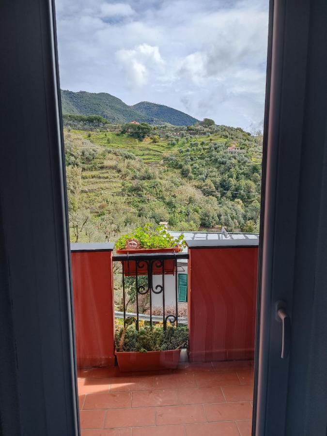 Villa Caribe Affittacamere Монтероссо-аль-Маре Экстерьер фото